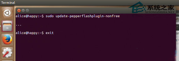 Ubuntu Chromium如何安装Flash