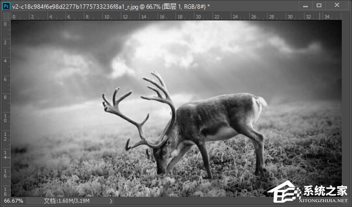 怎么使用PS把模糊的照片变得清晰?