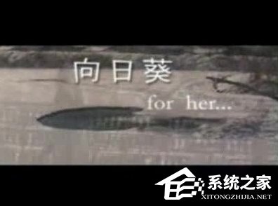 WinXP系统怎么打开DAT格式文件?