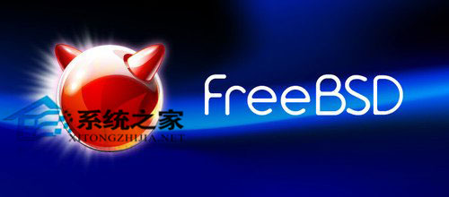 FreeBSD 8.2如何安装和配置Salt