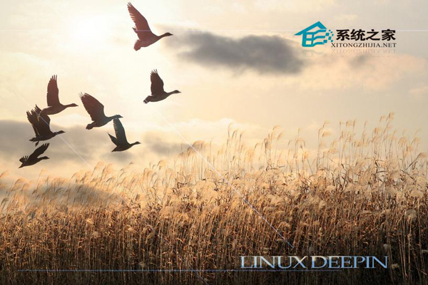 如何在Linux系统下查找可执行文件