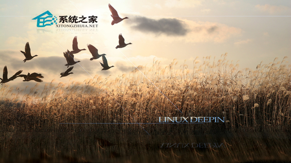 Linux如何使用命令定时删除过期文件