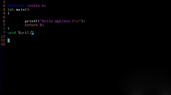 Linux Vi编辑代码时语法不能着色怎么办?
