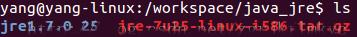  Ubuntu如何安装配置JRE